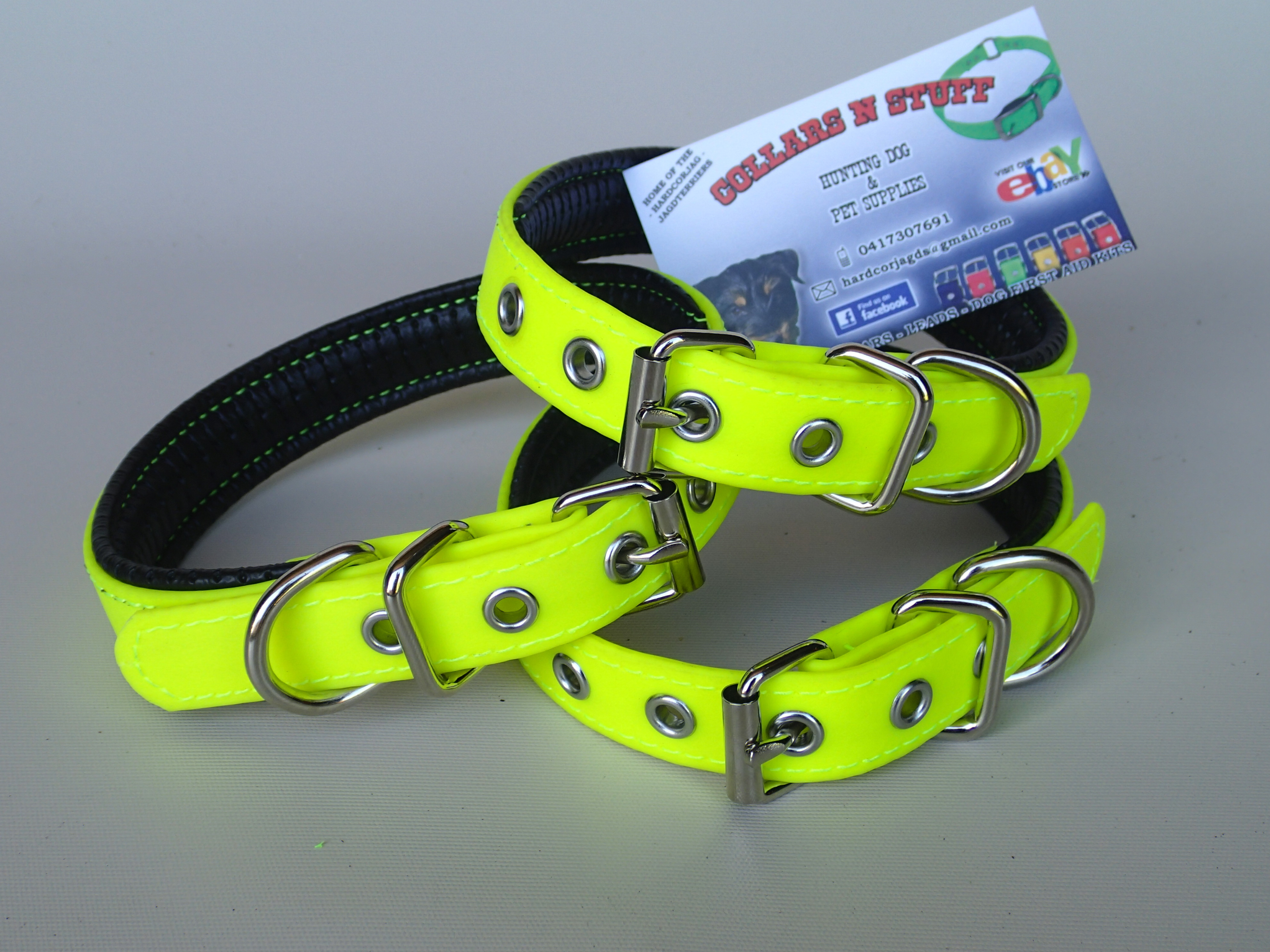 Terrier Whippet Yard Collars