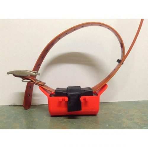 Pig Hunting Gear Collars N Stuff